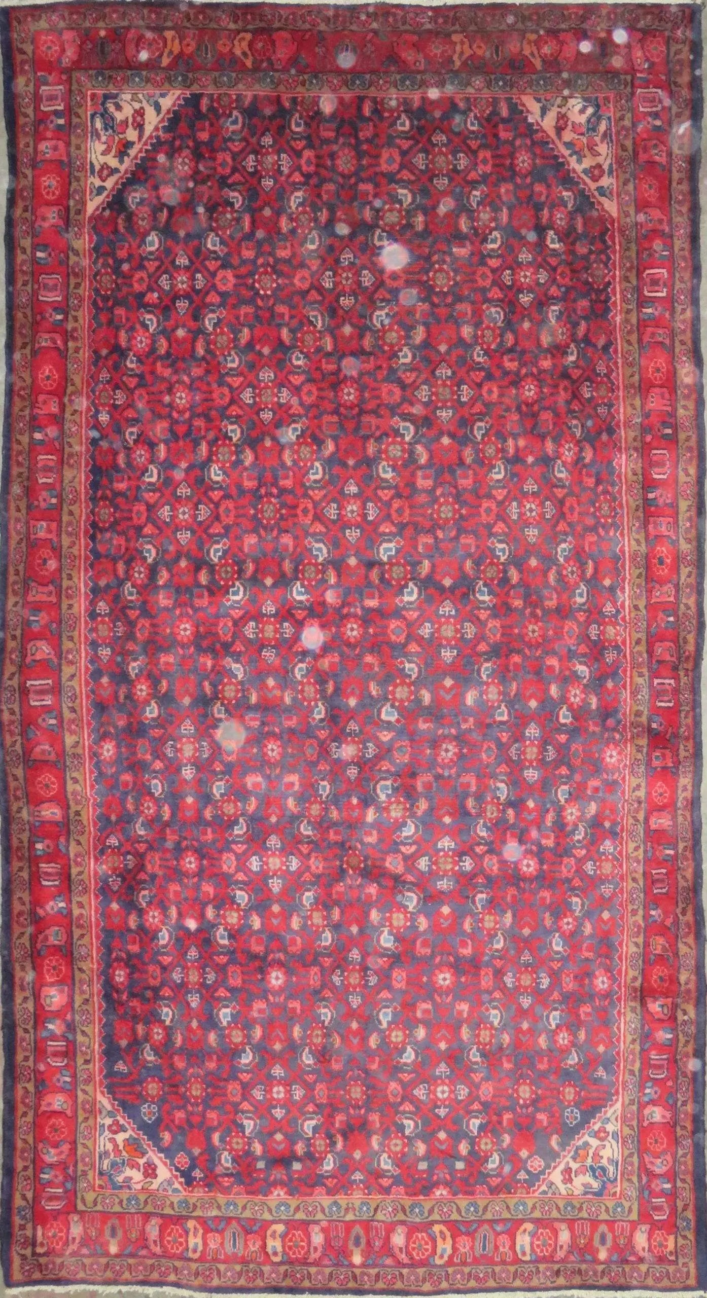 IMG 676 scaled 7ce97b23 96af 44f4 a7ed c24806eee0f7